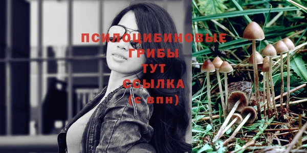 apvp Мегион