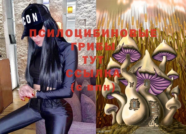 apvp Мегион